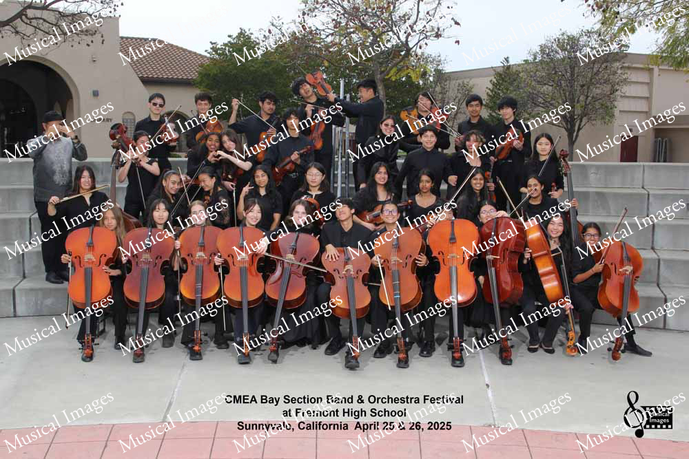 Musical Images
